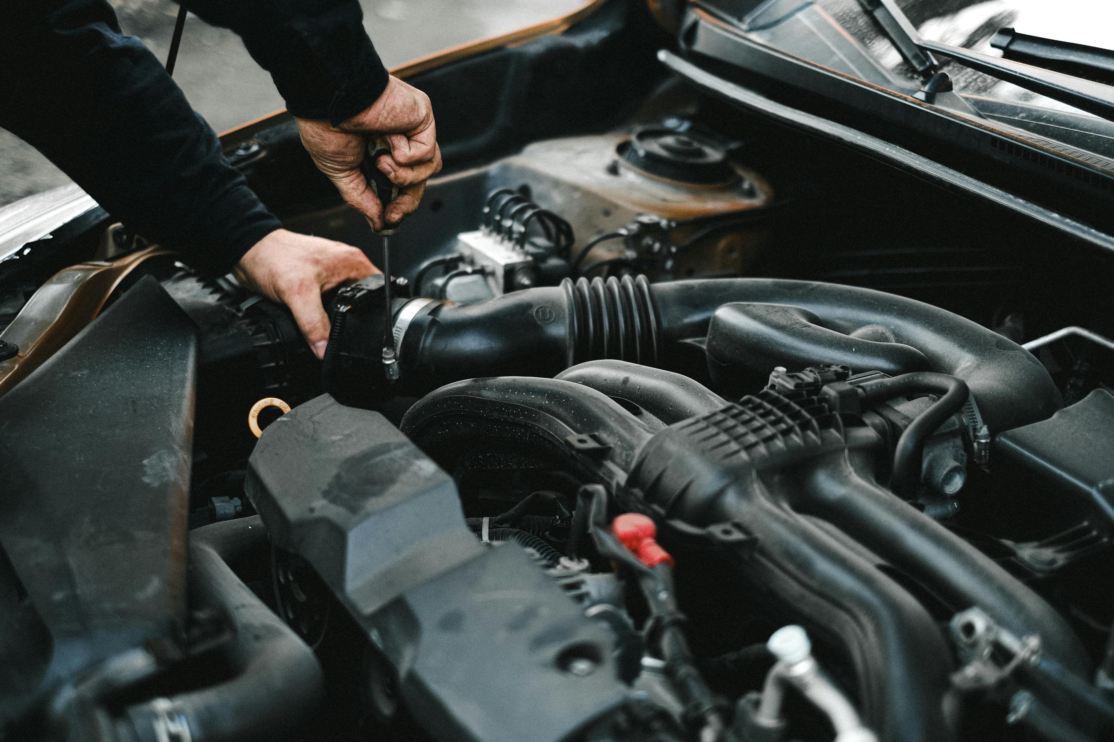 Professional automotive service facility